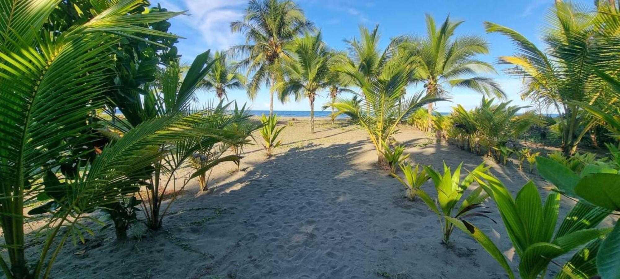 Hotel Playa Westfalia Puerto Limon Exterior photo